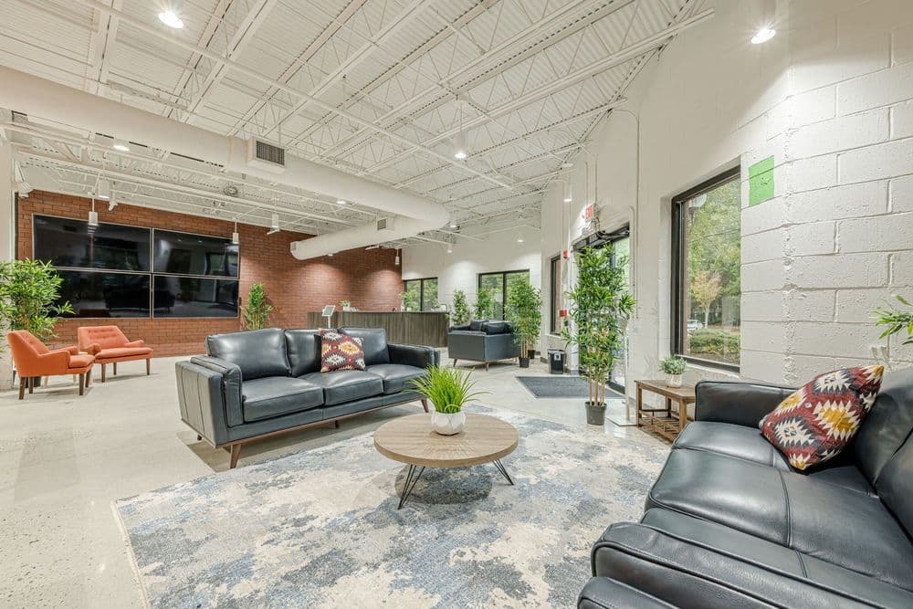 Modern lounge area featuring black sofas, vibrant pillows, and indoor plants in bright space.
